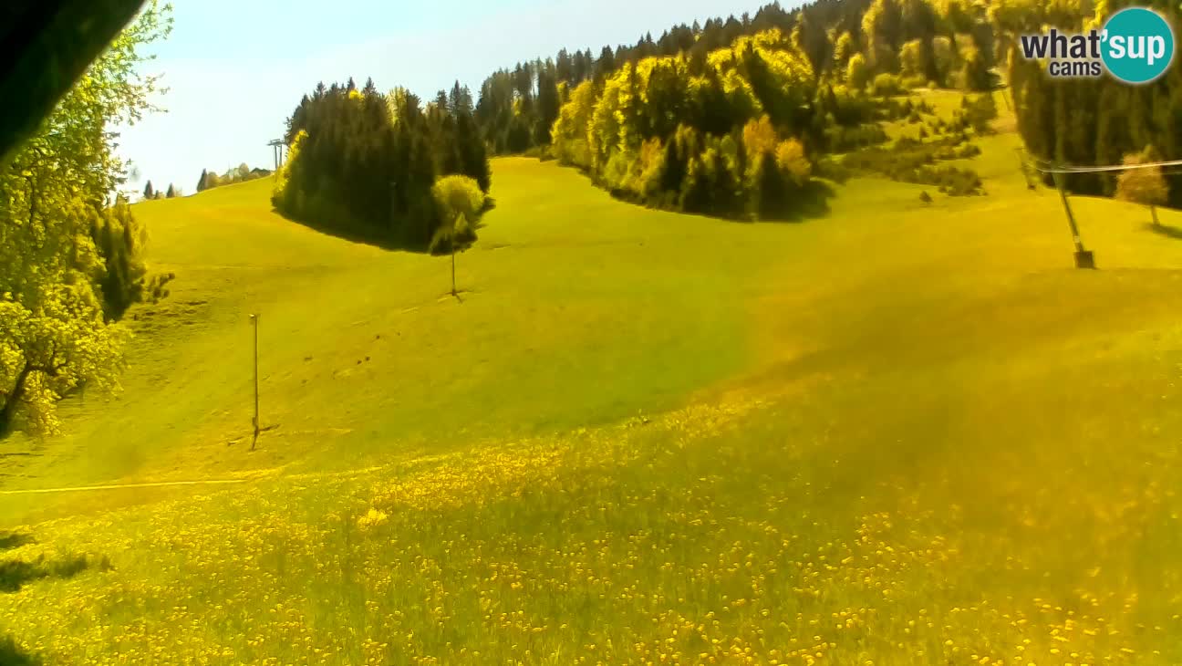 Ski resort Stari Vrh – Sidro