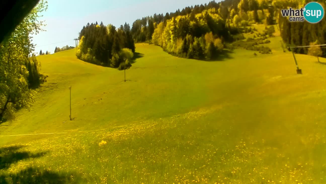 Stari Vrh – Sidro
