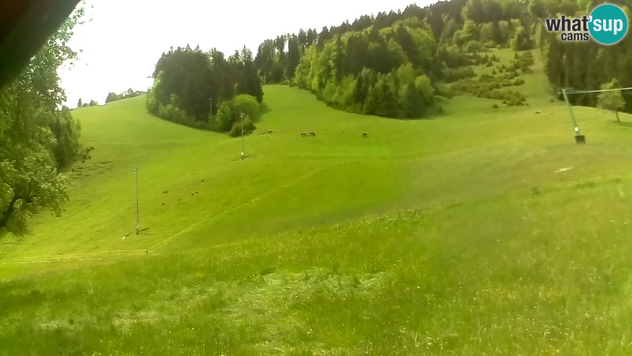Ski resort Stari Vrh – Sidro