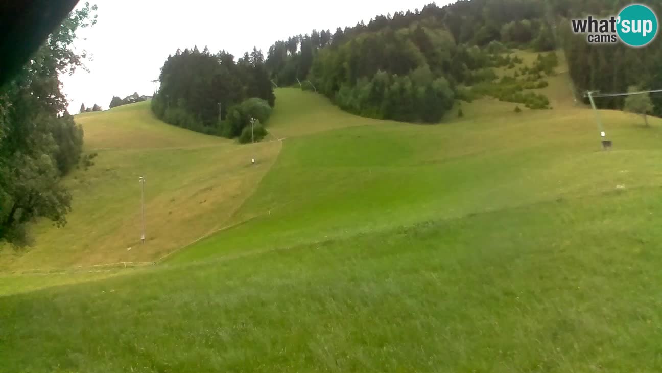 Stari Vrh – Sidro