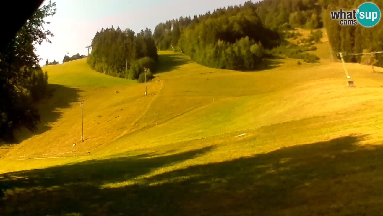 Stari Vrh – Sidro
