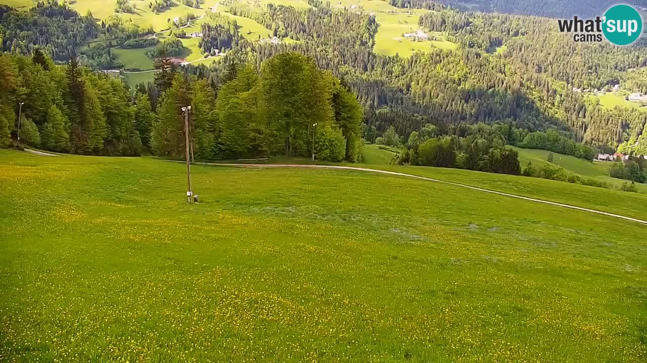 Skijalište Stari Vrh Web kamera uživo – Slovenija