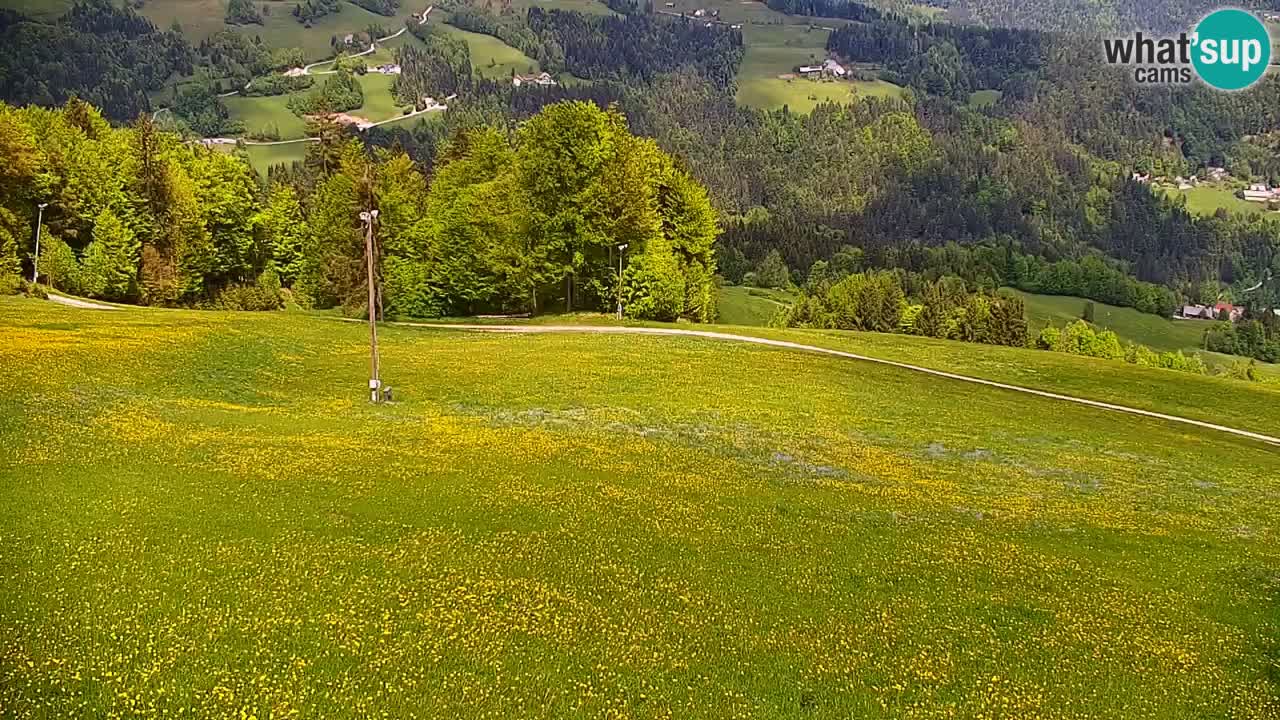 Webcam en direct de la station de ski de Stari Vrh – Slovénie