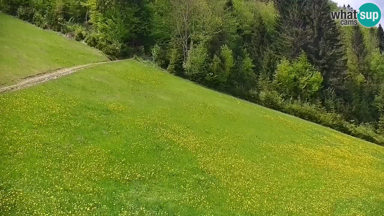 Skigebiet Stari Vrh Live Webcam – Slowenien
