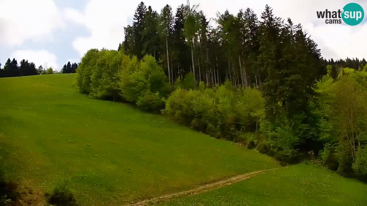Webcam en direct de la station de ski de Stari Vrh – Slovénie