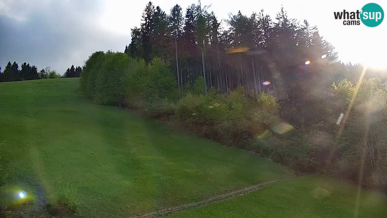 Stazione sciistica di Stari Vrh Webcam in diretta – Slovenia