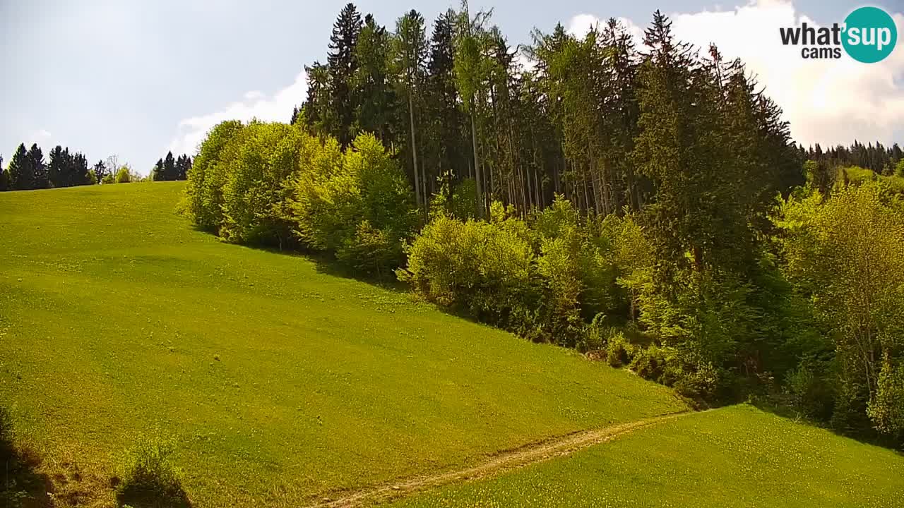 Skijalište Stari Vrh Web kamera uživo – Slovenija