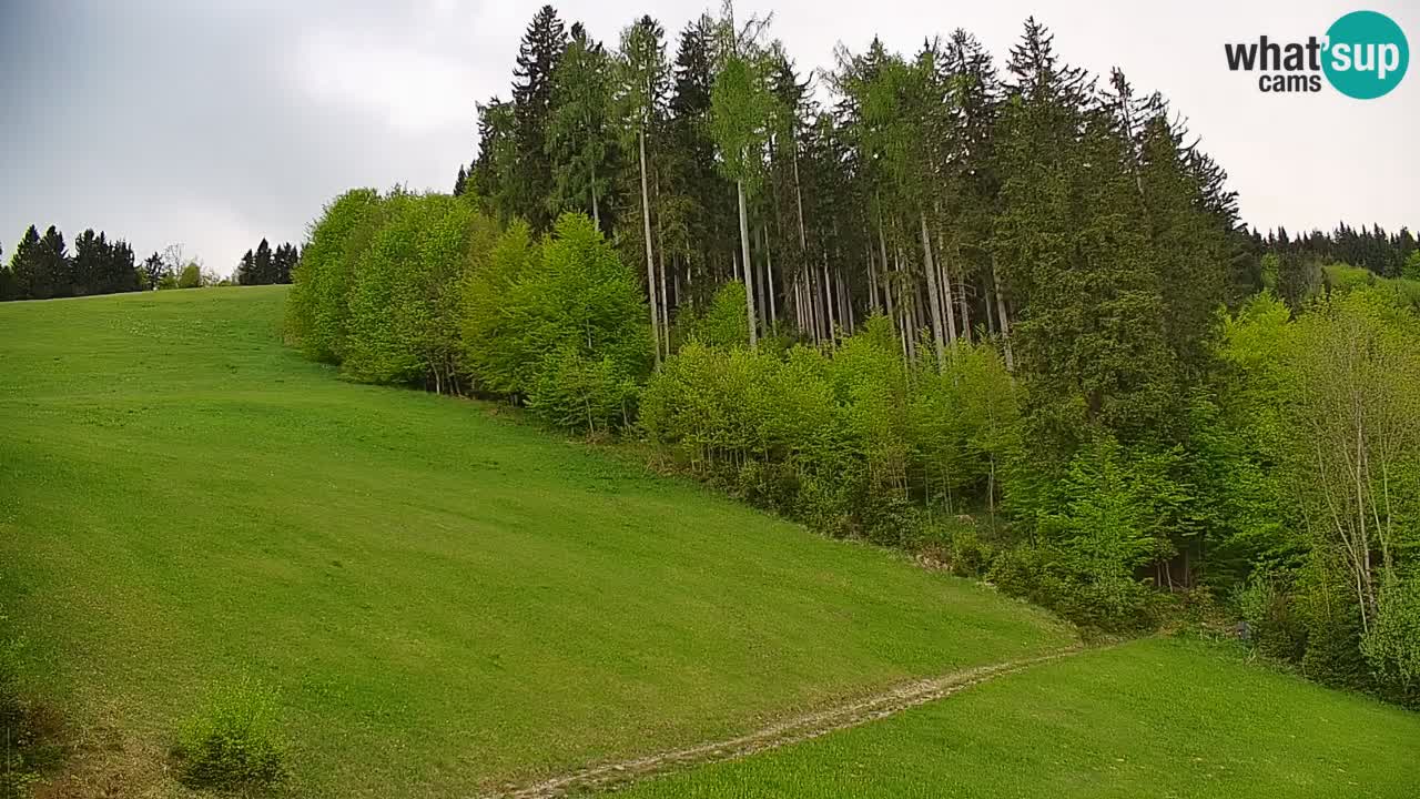Skigebiet Stari Vrh Live Webcam – Slowenien