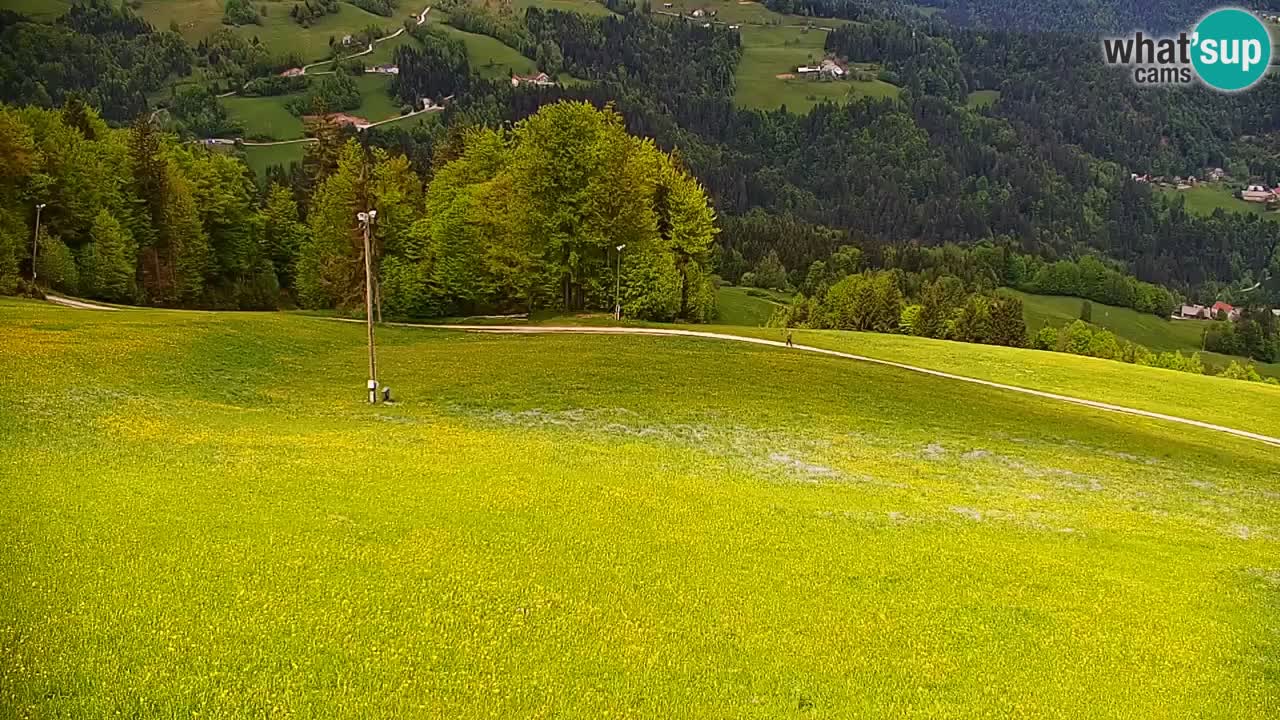 Webcam en direct de la station de ski de Stari Vrh – Slovénie