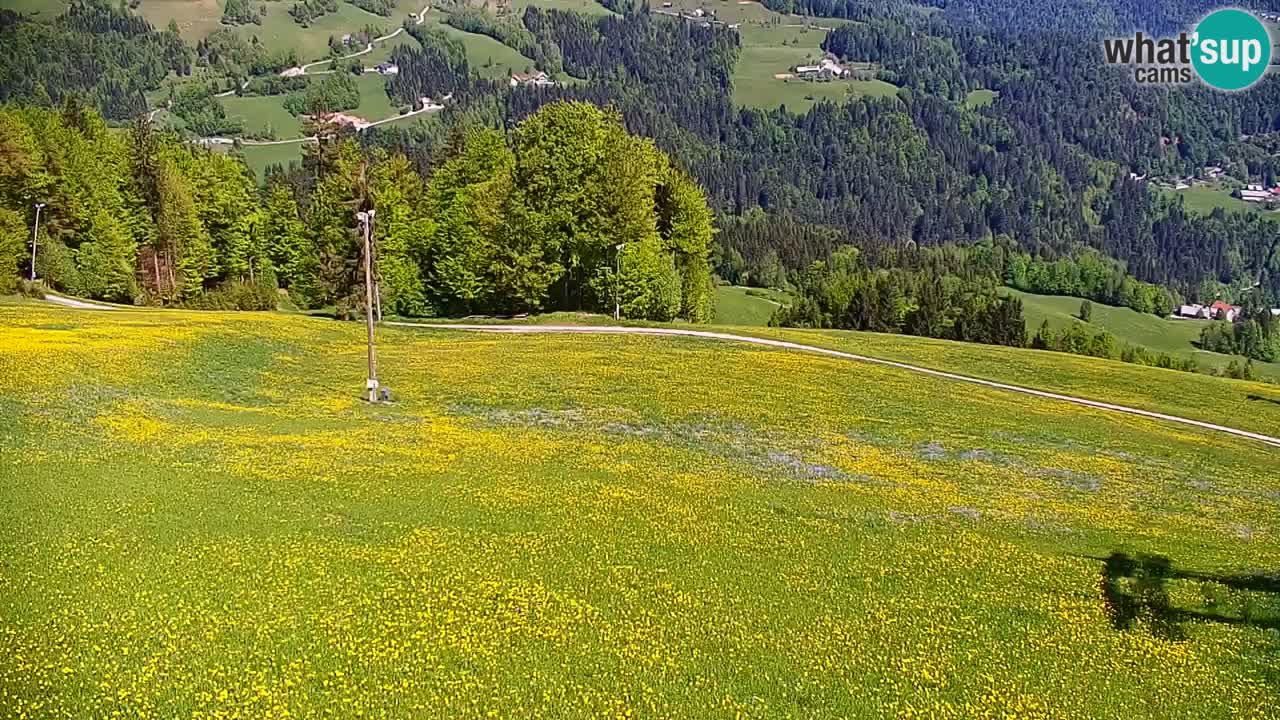 Webcam en direct de la station de ski de Stari Vrh – Slovénie