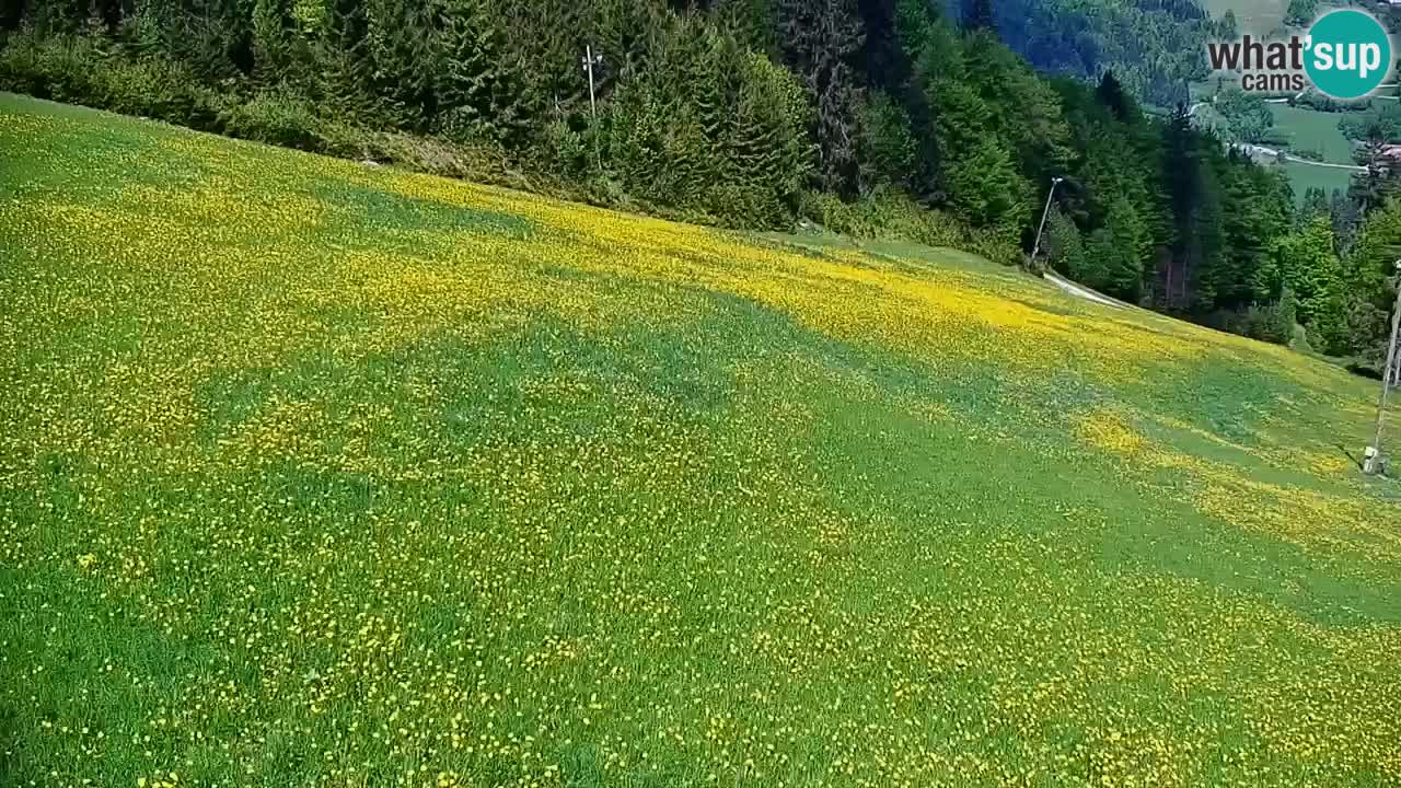 Stazione sciistica di Stari Vrh Webcam in diretta – Slovenia