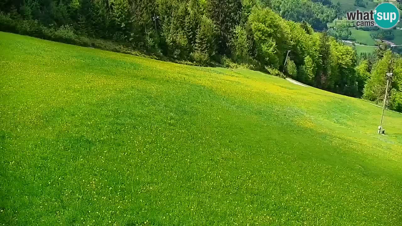 Stari Vrh Ski resort Live webcam – Slovenia