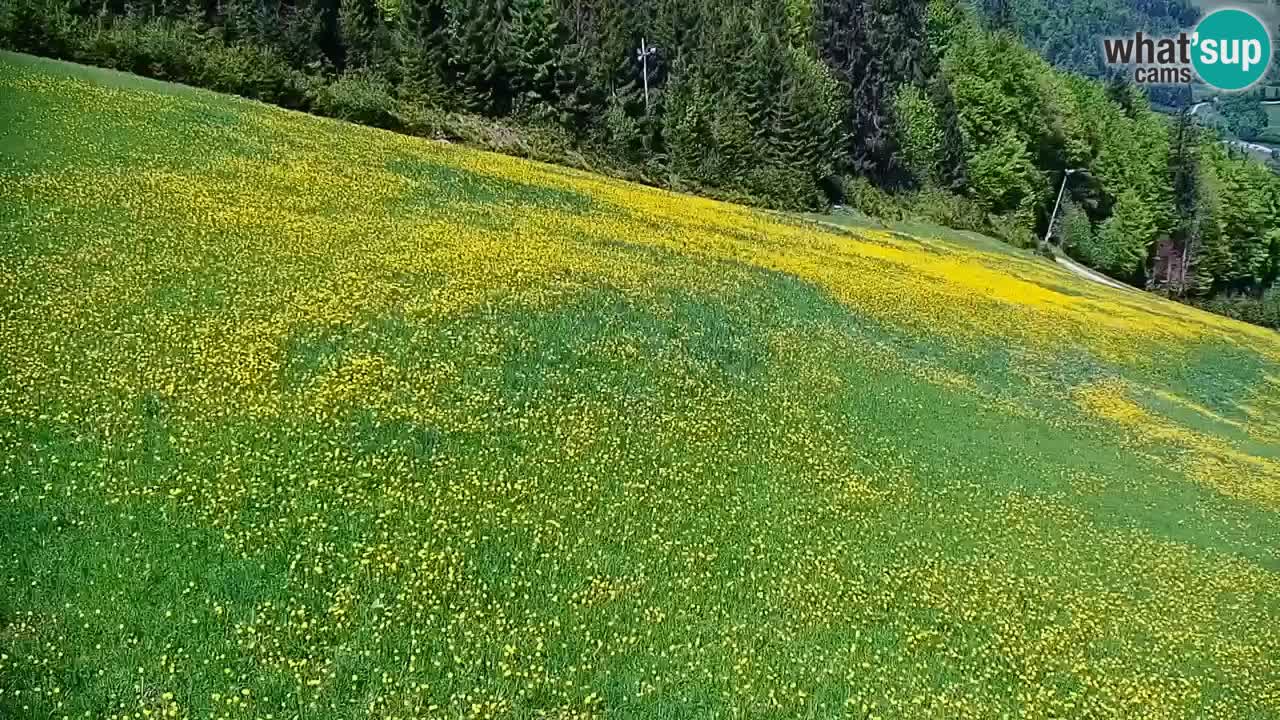 Webcam en direct de la station de ski de Stari Vrh – Slovénie