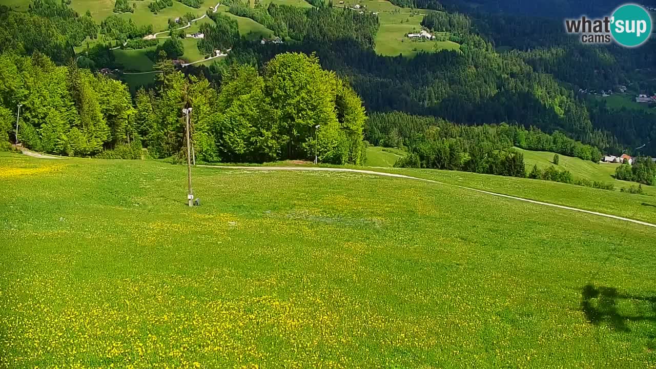 Skijalište Stari Vrh Web kamera uživo – Slovenija