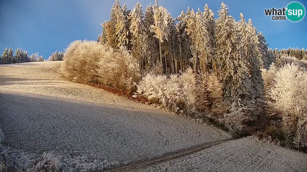 Skijalište Stari Vrh Web kamera uživo – Slovenija