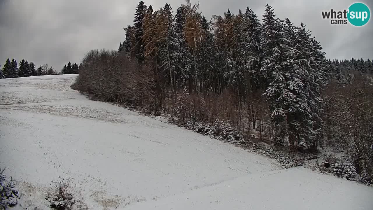 Stazione sciistica di Stari Vrh Webcam in diretta – Slovenia