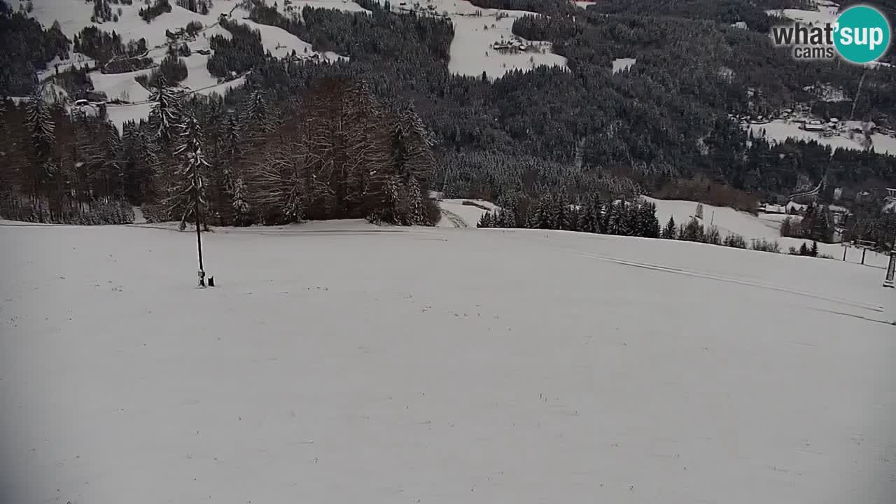 Skigebiet Stari Vrh Live Webcam – Slowenien