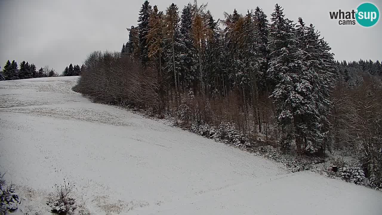 Stazione sciistica di Stari Vrh Webcam in diretta – Slovenia