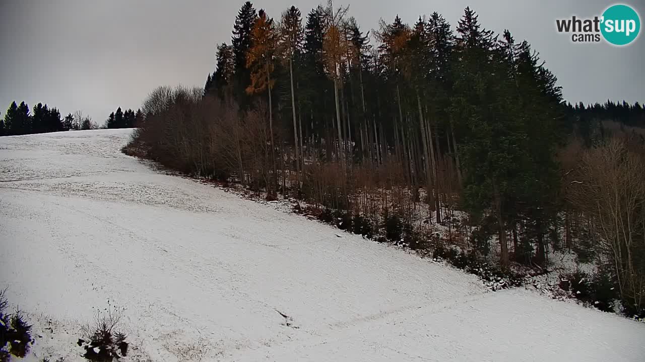 Stazione sciistica di Stari Vrh Webcam in diretta – Slovenia