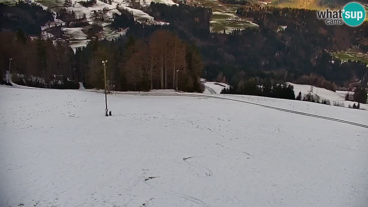 Stazione sciistica di Stari Vrh Webcam in diretta – Slovenia