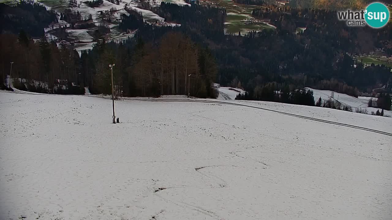 Stazione sciistica di Stari Vrh Webcam in diretta – Slovenia