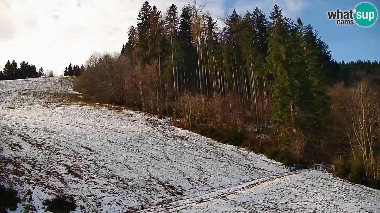 Stazione sciistica di Stari Vrh Webcam in diretta – Slovenia