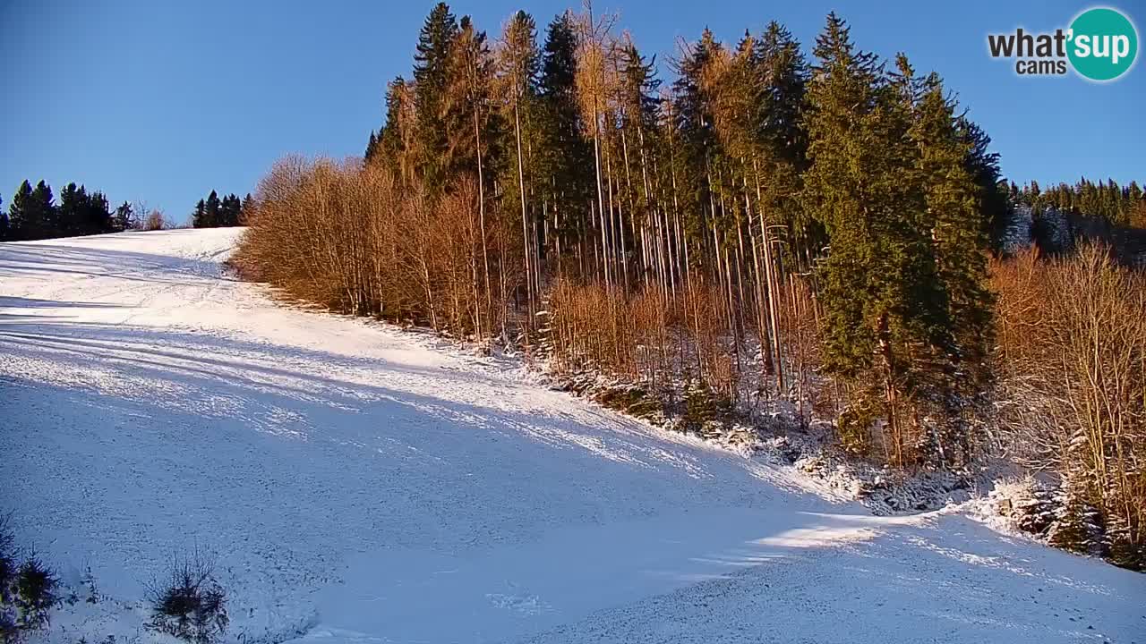 Stazione sciistica di Stari Vrh Webcam in diretta – Slovenia