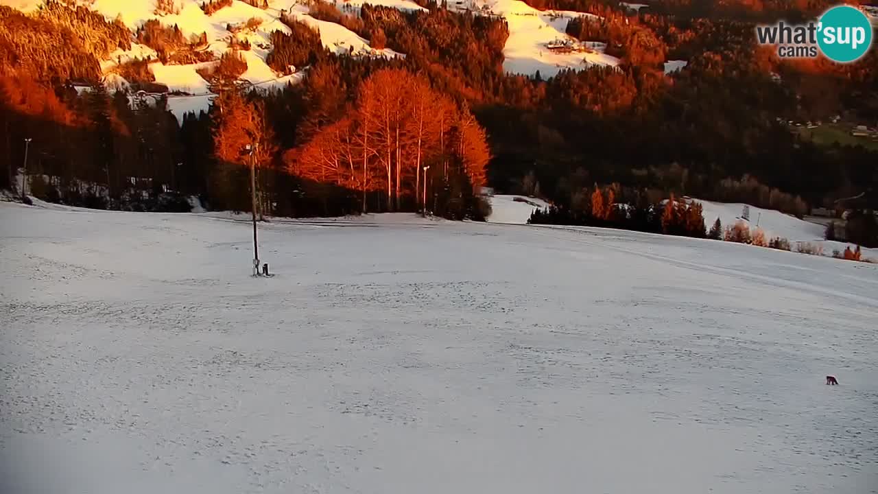 Stazione sciistica di Stari Vrh Webcam in diretta – Slovenia