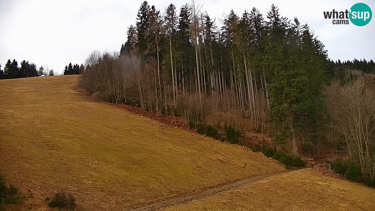 Stazione sciistica di Stari Vrh Webcam in diretta – Slovenia