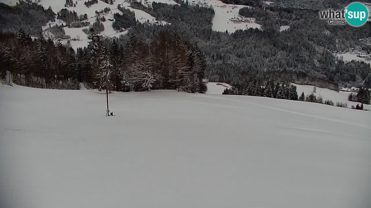 Webcam en direct de la station de ski de Stari Vrh – Slovénie