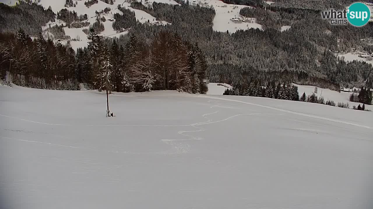 Webcam en direct de la station de ski de Stari Vrh – Slovénie