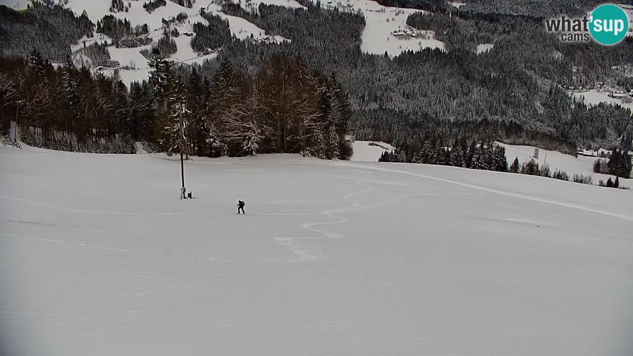 Webcam en direct de la station de ski de Stari Vrh – Slovénie