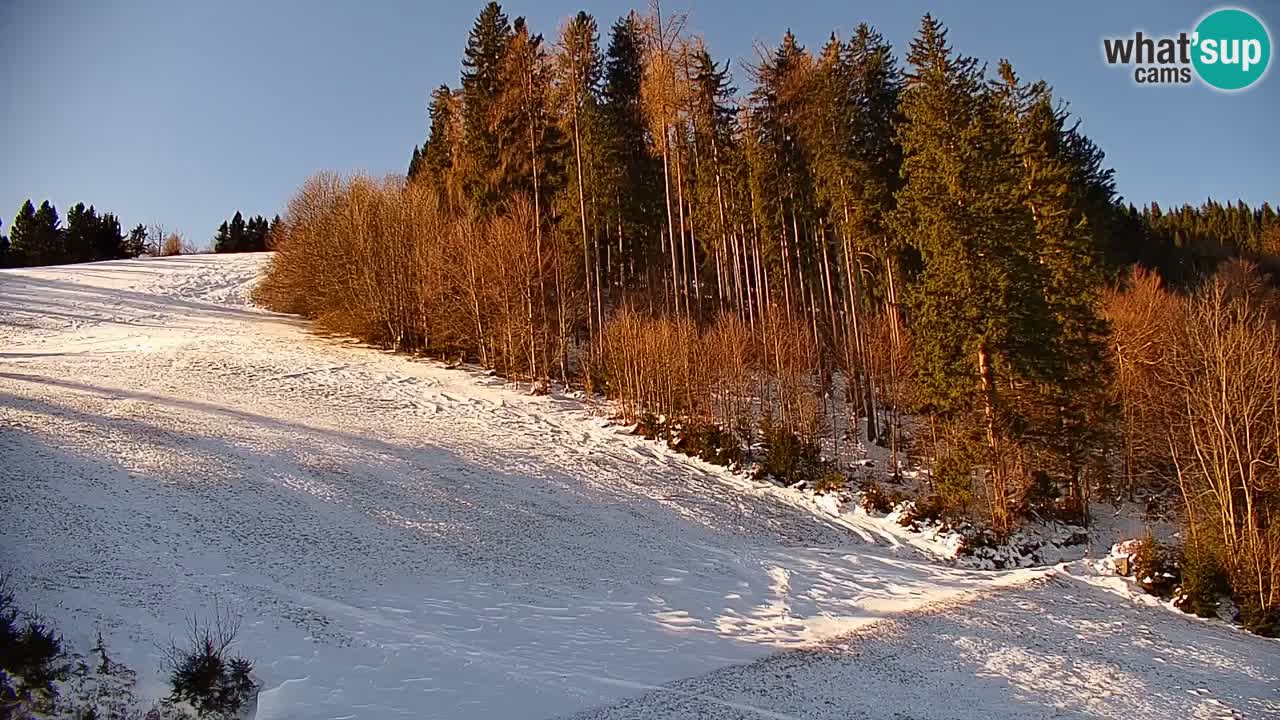 Webcam en direct de la station de ski de Stari Vrh – Slovénie