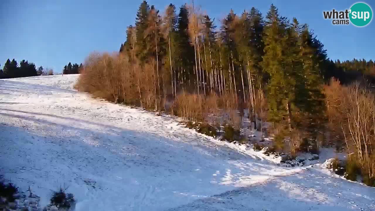 Webcam en direct de la station de ski de Stari Vrh – Slovénie