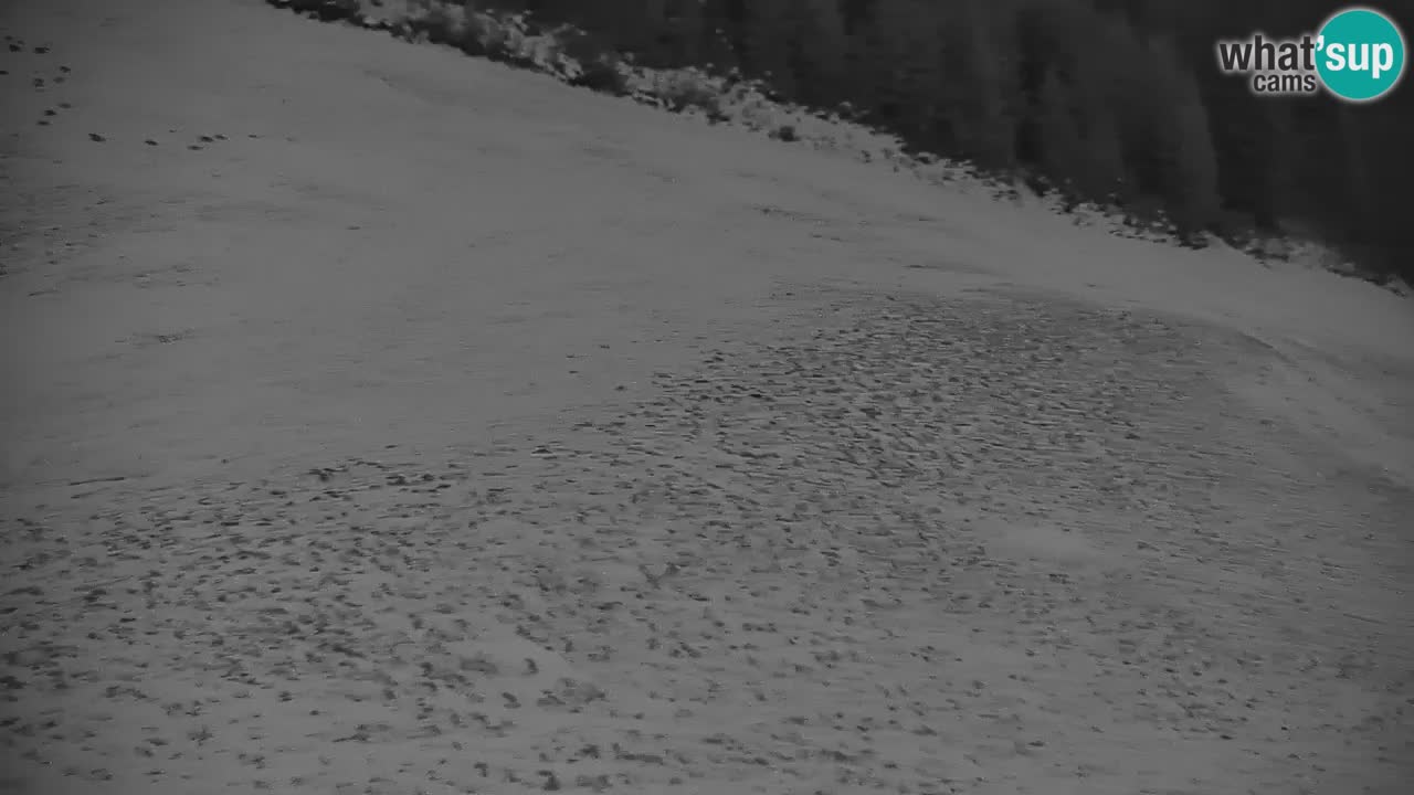 Webcam en direct de la station de ski de Stari Vrh – Slovénie