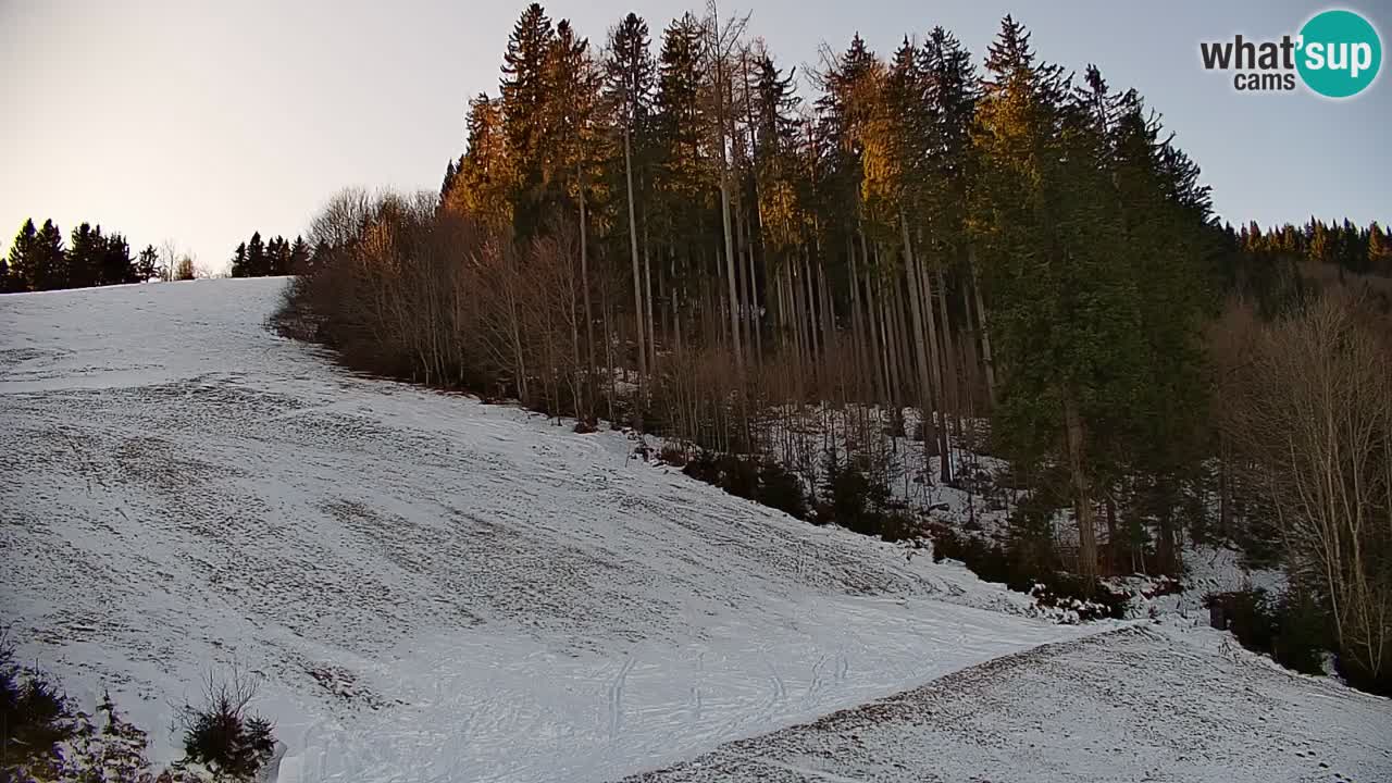 Stazione sciistica di Stari Vrh Webcam in diretta – Slovenia