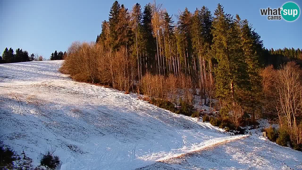 Webcam en direct de la station de ski de Stari Vrh – Slovénie