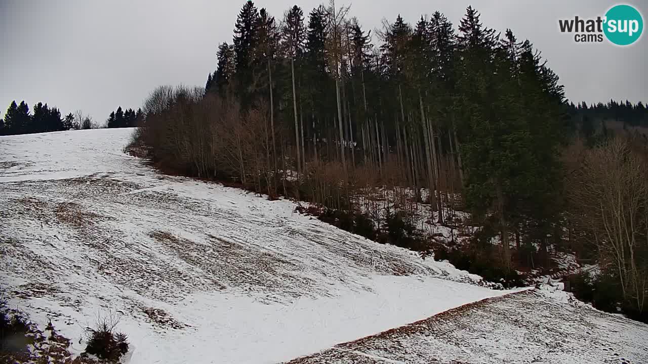 Stazione sciistica di Stari Vrh Webcam in diretta – Slovenia