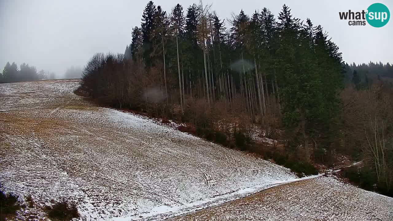 Skijalište Stari Vrh Web kamera uživo – Slovenija