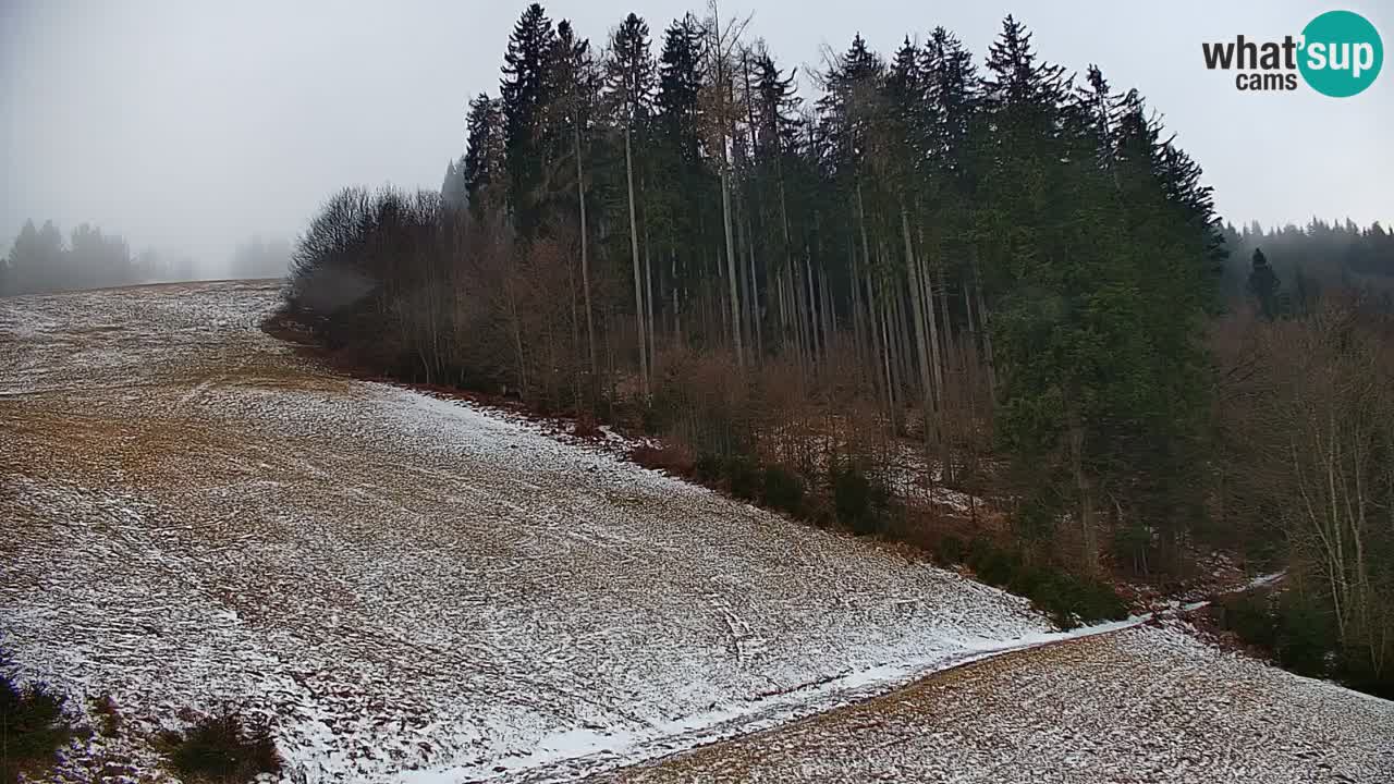 Stazione sciistica di Stari Vrh Webcam in diretta – Slovenia