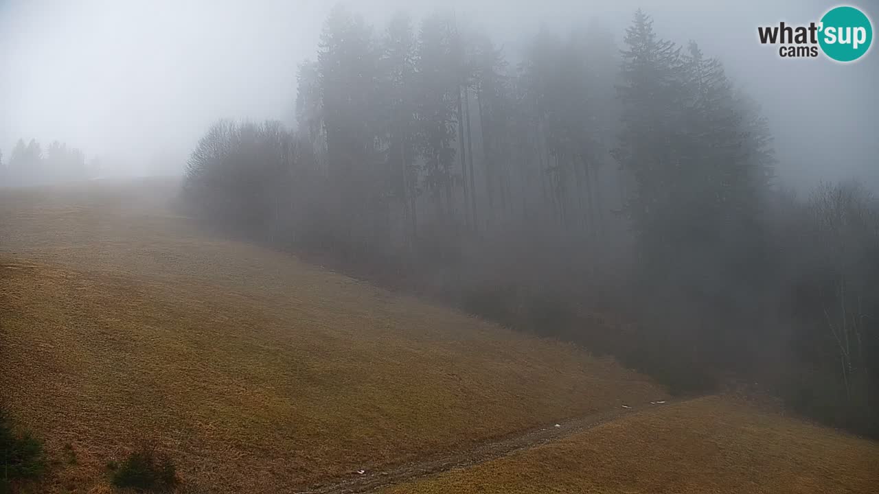 Webcam en direct de la station de ski de Stari Vrh – Slovénie