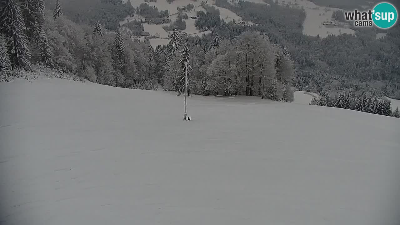 Skigebiet Stari Vrh Live Webcam – Slowenien