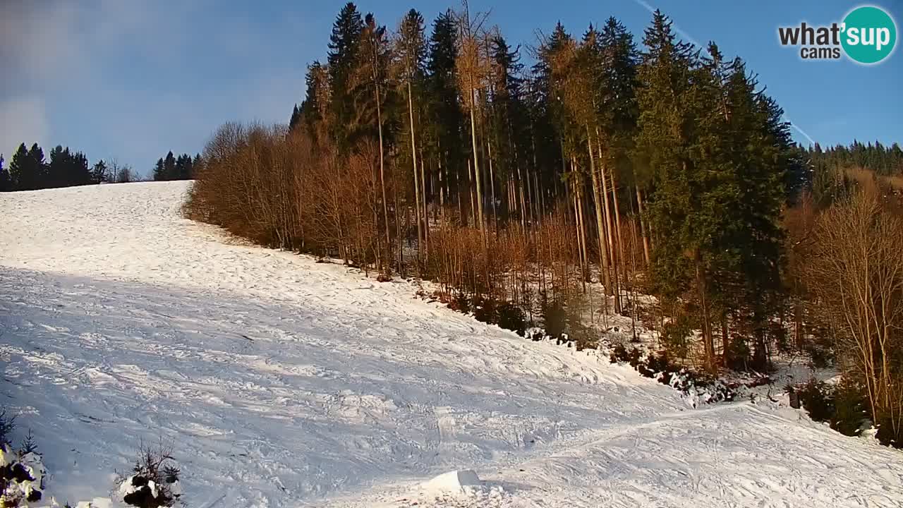 Stazione sciistica di Stari Vrh Webcam in diretta – Slovenia