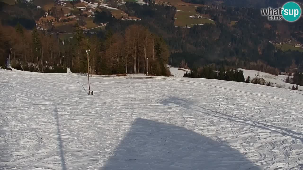 Stazione sciistica di Stari Vrh Webcam in diretta – Slovenia