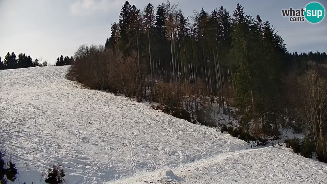 Webcam en direct de la station de ski de Stari Vrh – Slovénie