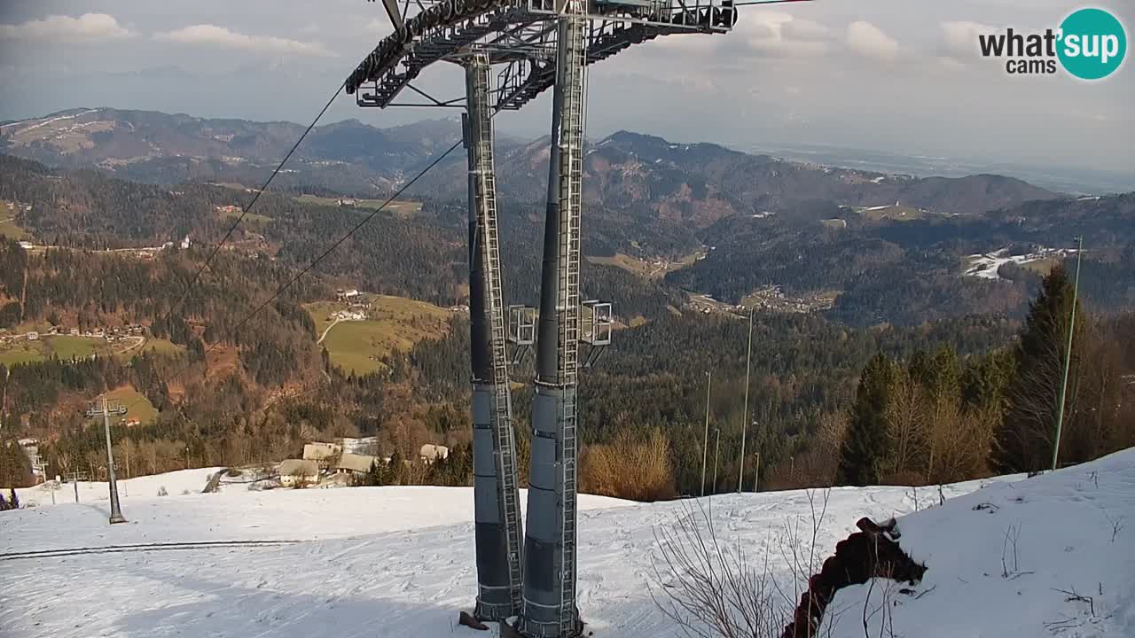 Stazione sciistica di Stari Vrh Webcam in diretta – Slovenia