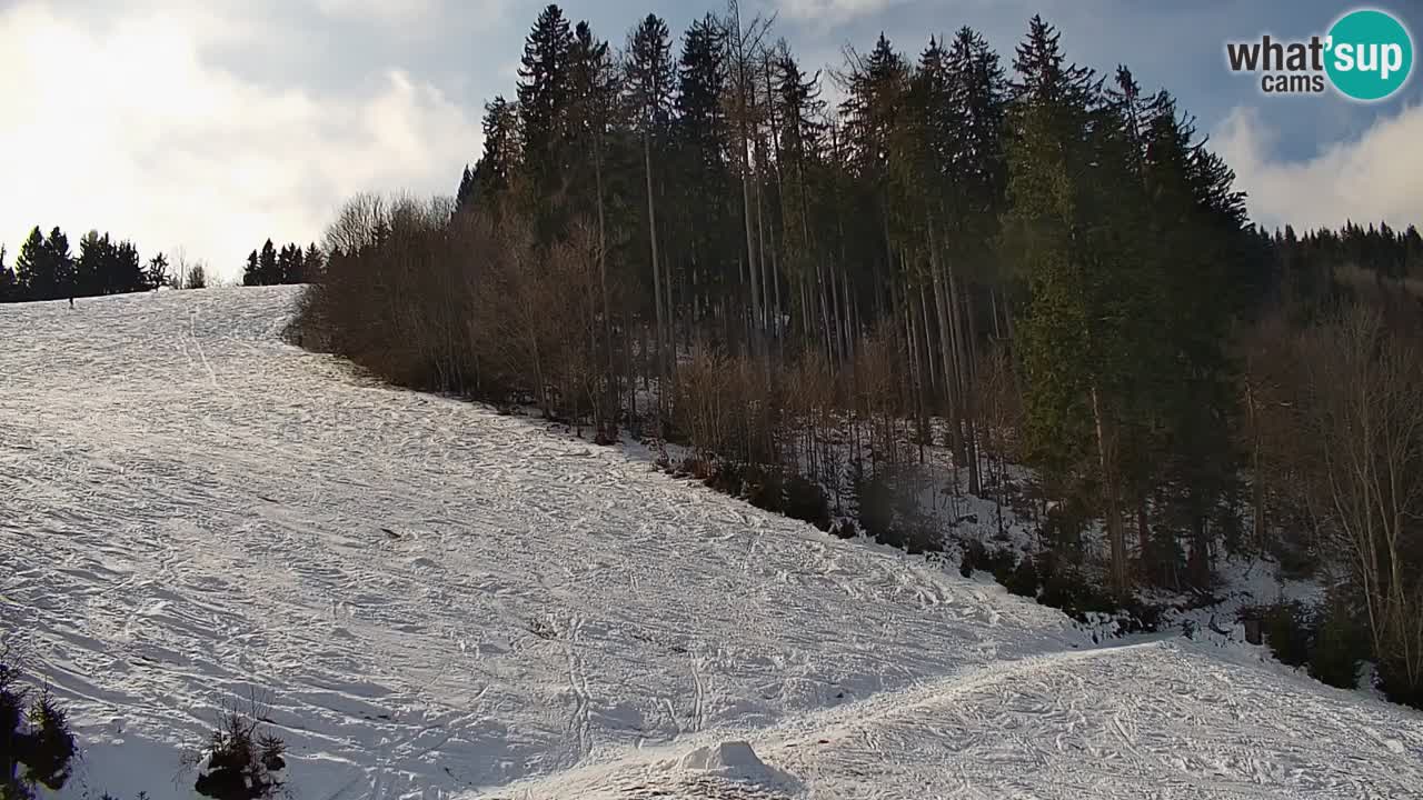 Stazione sciistica di Stari Vrh Webcam in diretta – Slovenia