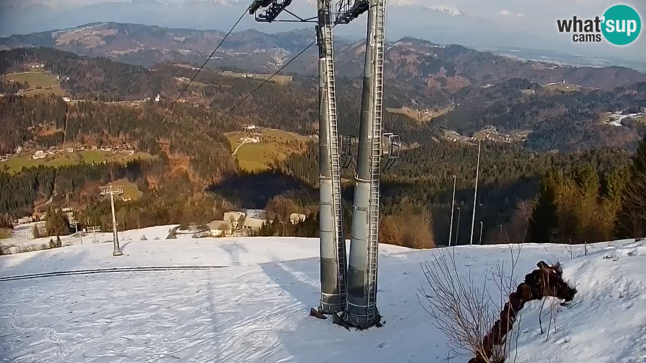 Stazione sciistica di Stari Vrh Webcam in diretta – Slovenia