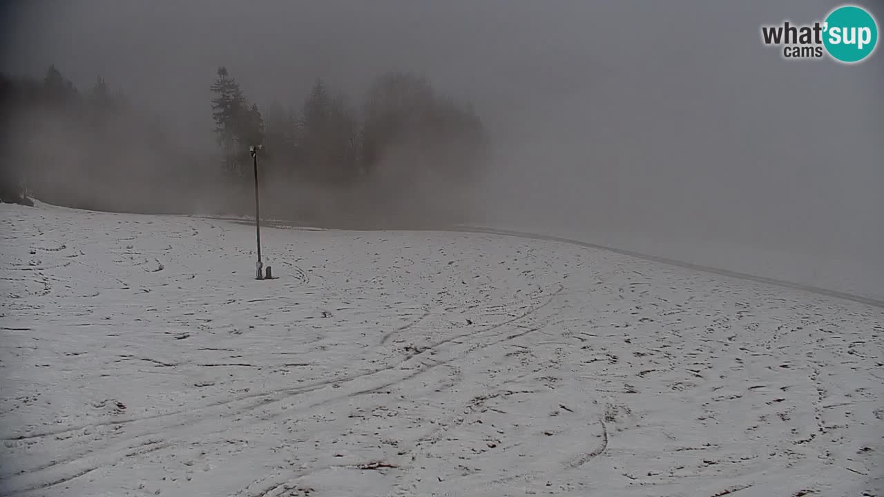 Webcam en direct de la station de ski de Stari Vrh – Slovénie