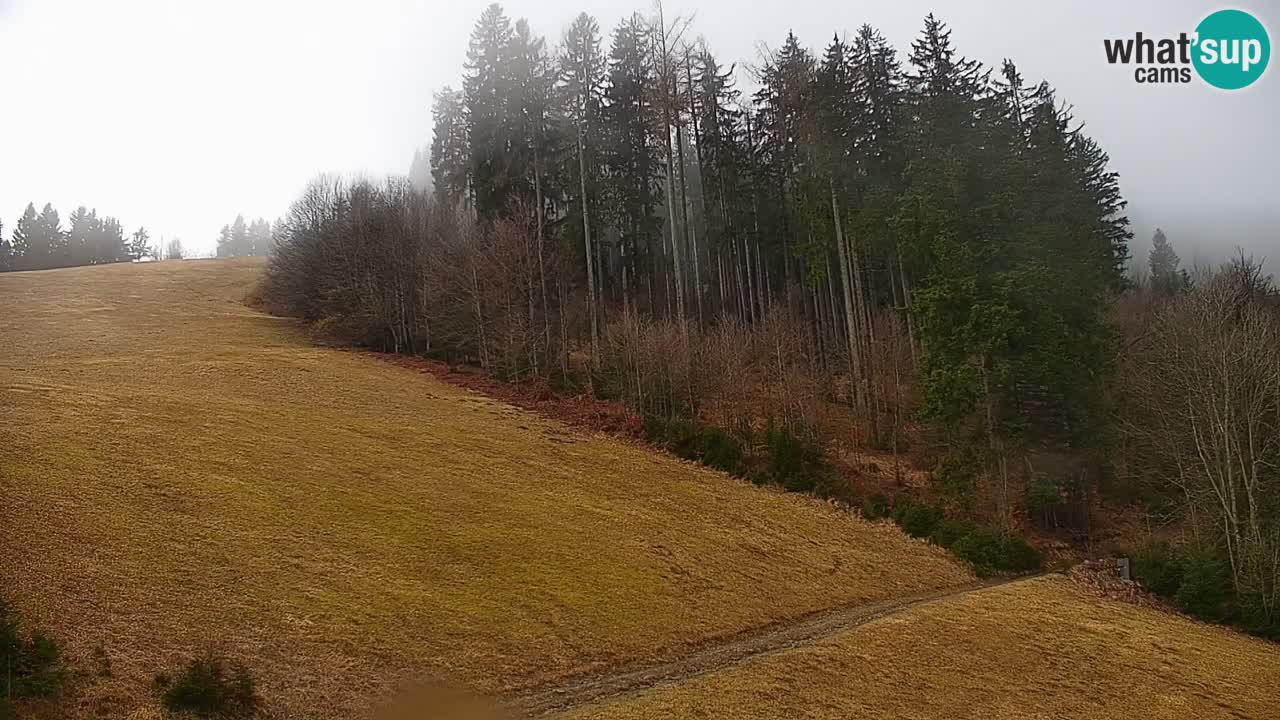 Stazione sciistica di Stari Vrh Webcam in diretta – Slovenia